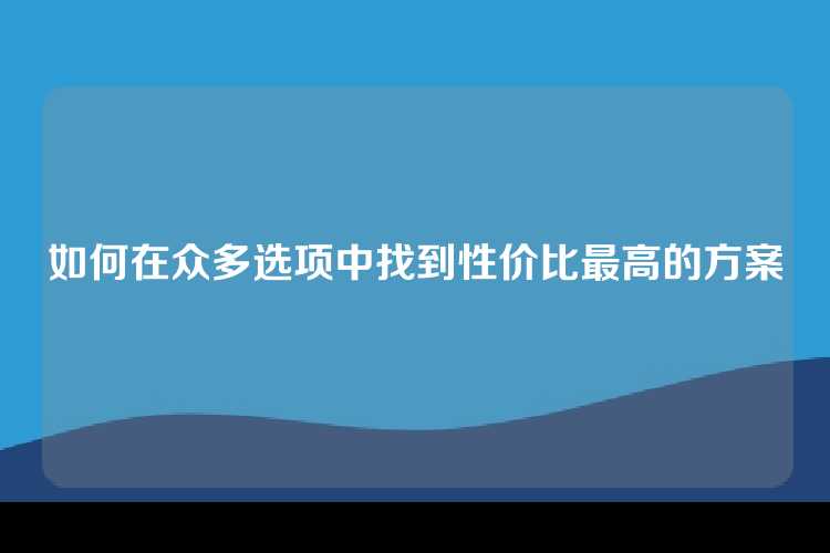 如何在众多选项中找到性价比最高的方案