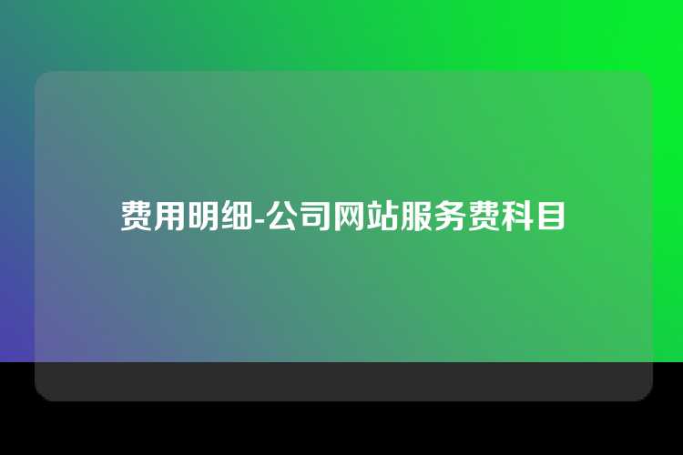 费用明细-公司网站服务费科目