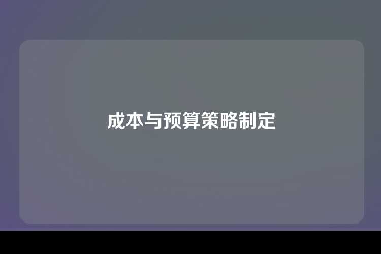 成本与预算策略制定