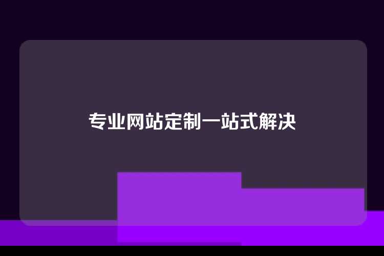 专业网站定制一站式解决