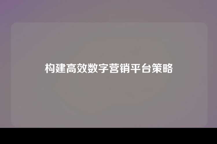 构建高效数字营销平台策略