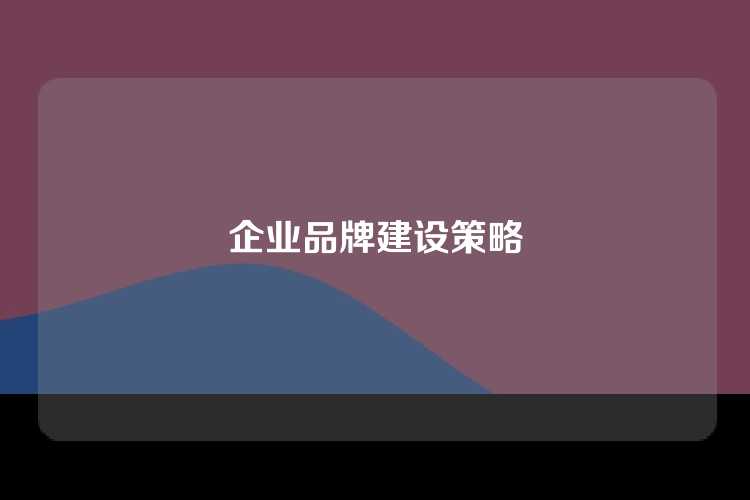 企业品牌建设策略