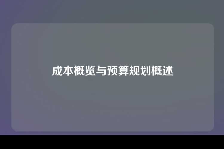 成本概览与预算规划概述