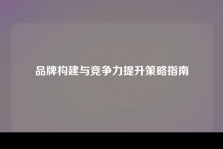 品牌构建与竞争力提升策略指南