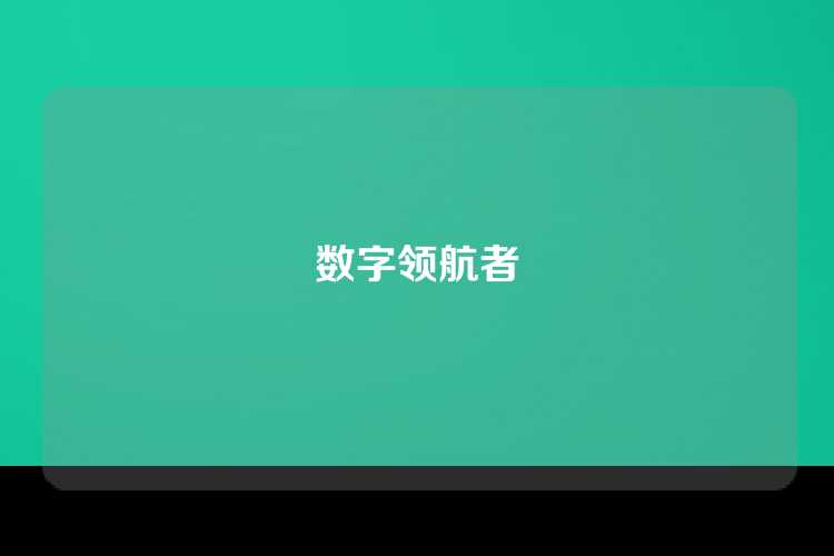 数字领航者