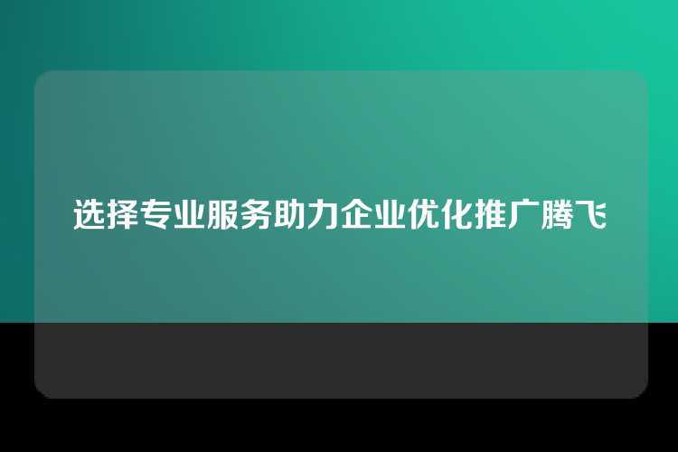选择专业服务助力企业优化推广腾飞