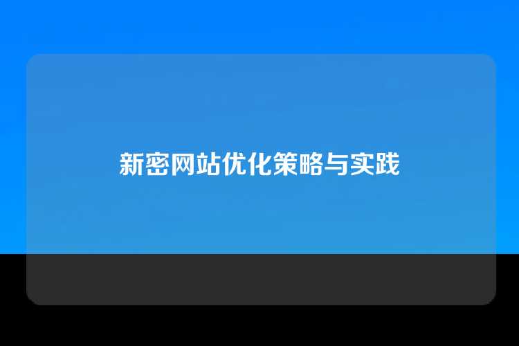 新密网站优化策略与实践