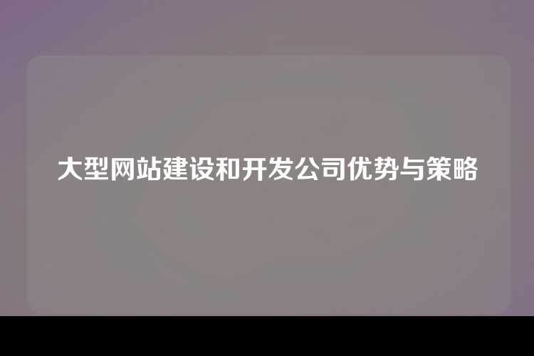 大型网站建设和开发公司优势与策略