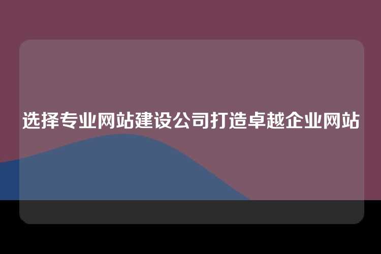 选择专业网站建设公司打造卓越企业网站