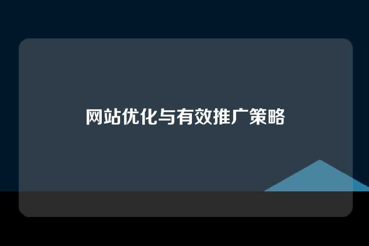 网站优化与有效推广策略