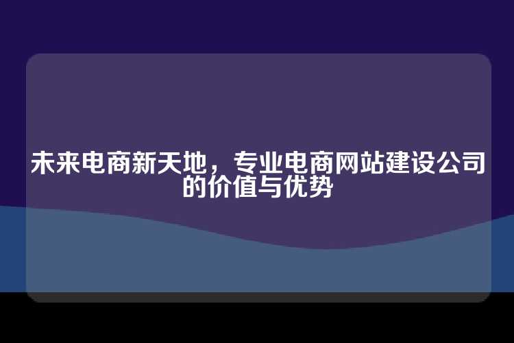 未来电商新天地，专业电商网站建设公司的价值与优势