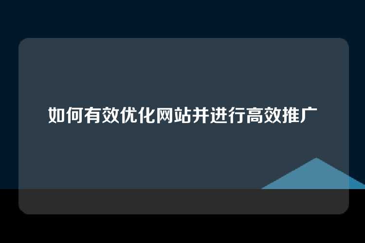 如何有效优化网站并进行高效推广