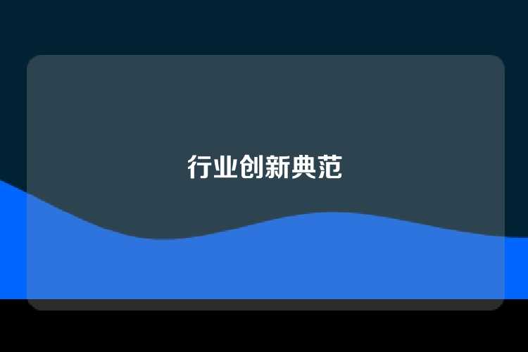 行业创新典范