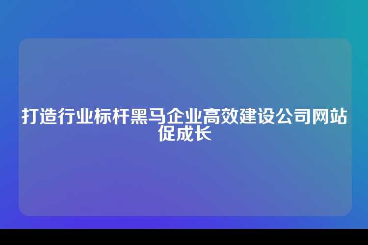 打造行业标杆黑马企业高效建设公司网站促成长