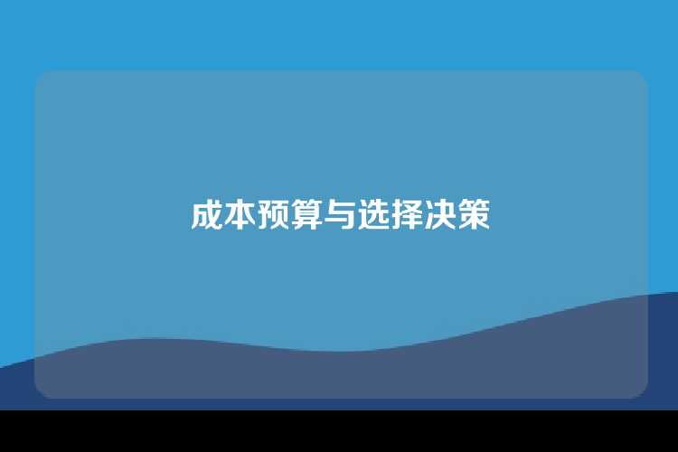成本预算与选择决策