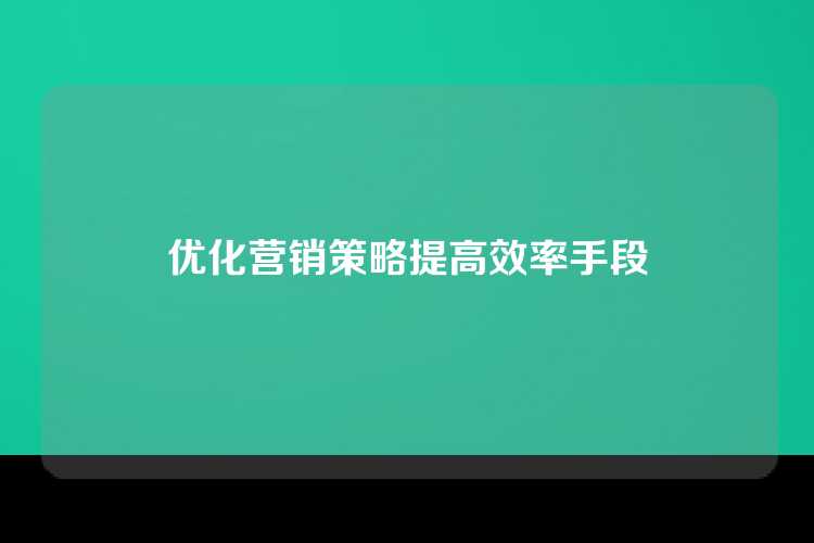 优化营销策略提高效率手段
