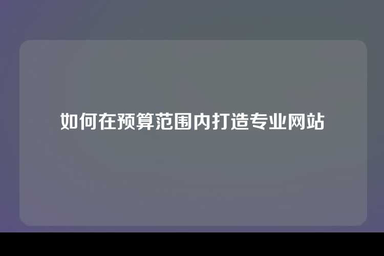 如何在预算范围内打造专业网站