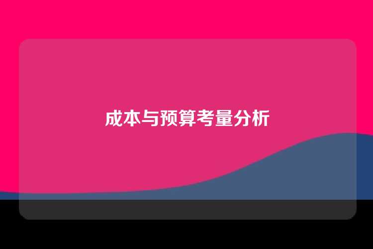 成本与预算考量分析