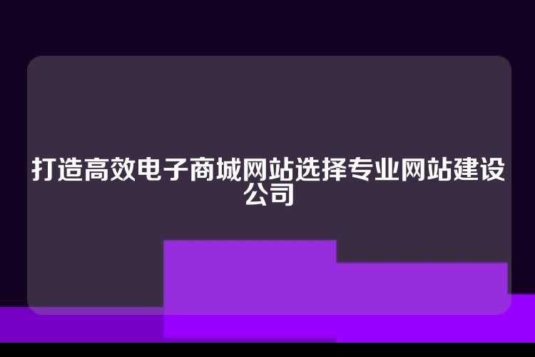 打造高效电子商城网站选择专业网站建设公司