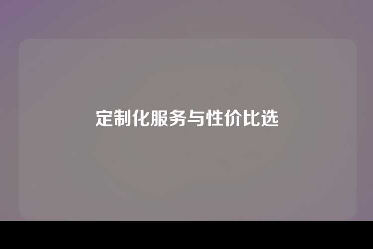 定制化服务与性价比选
