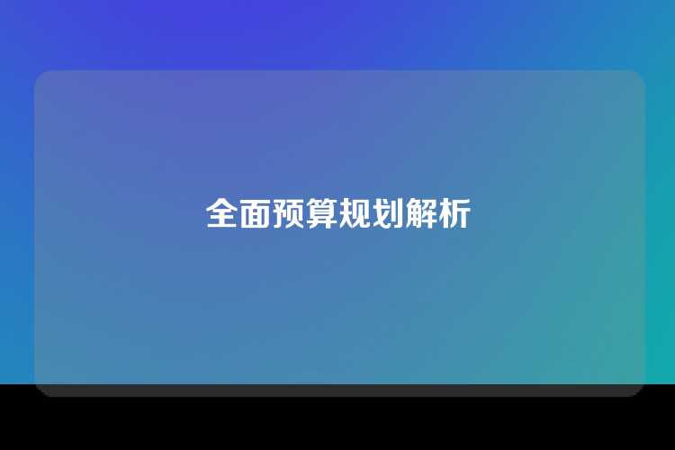 全面预算规划解析