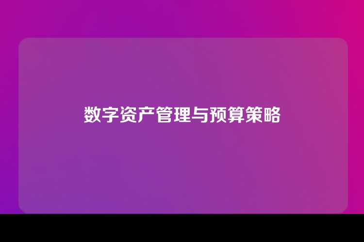 数字资产管理与预算策略