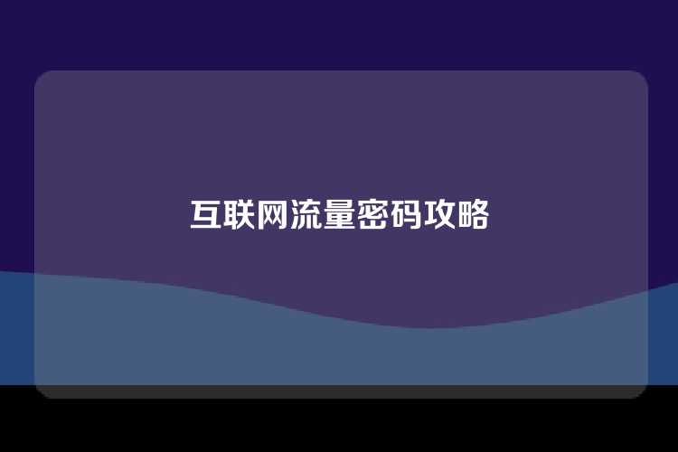 互联网流量密码攻略