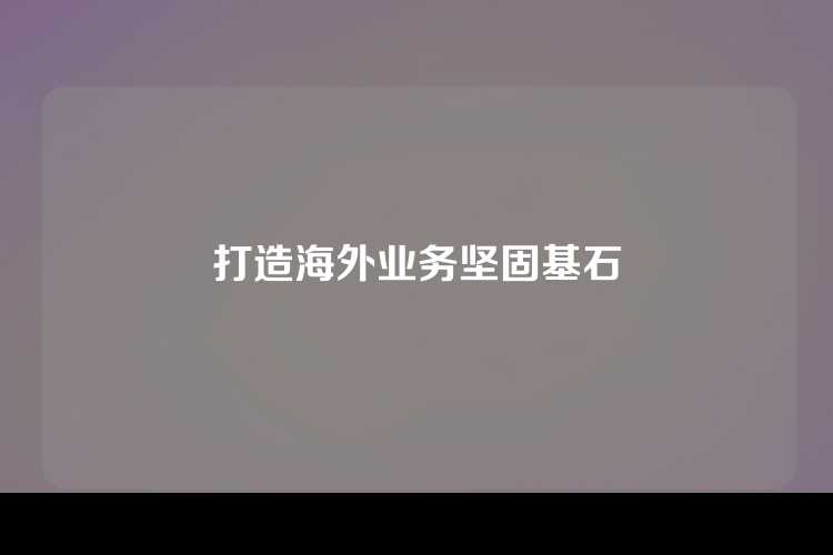 打造海外业务坚固基石