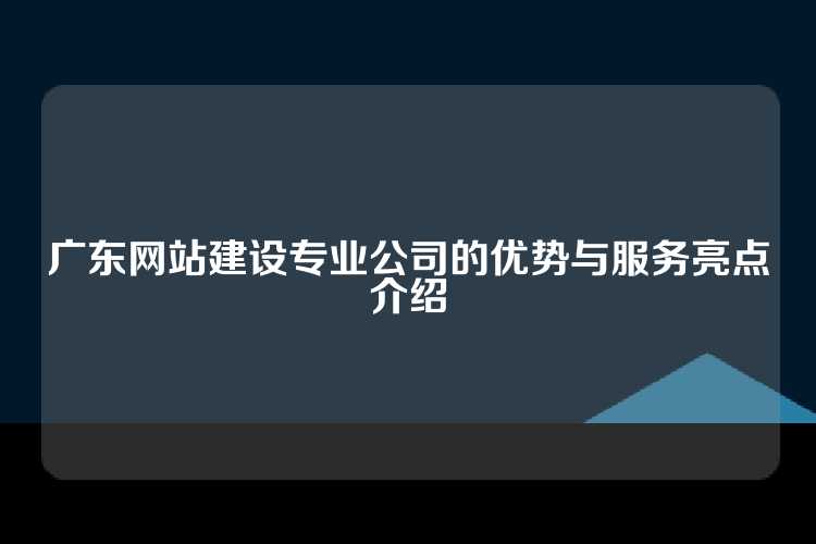 广东网站建设专业公司的优势与服务亮点介绍