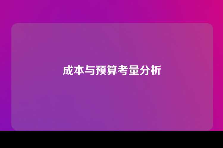 成本与预算考量分析
