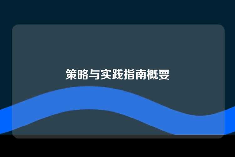 策略与实践指南概要