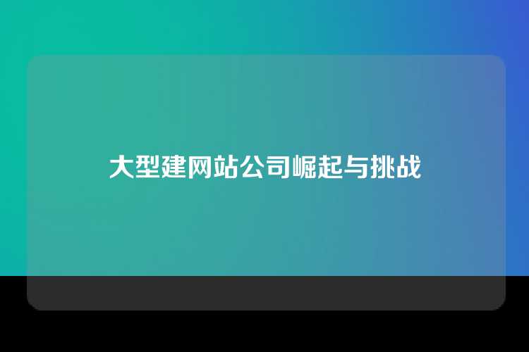 大型建网站公司崛起与挑战
