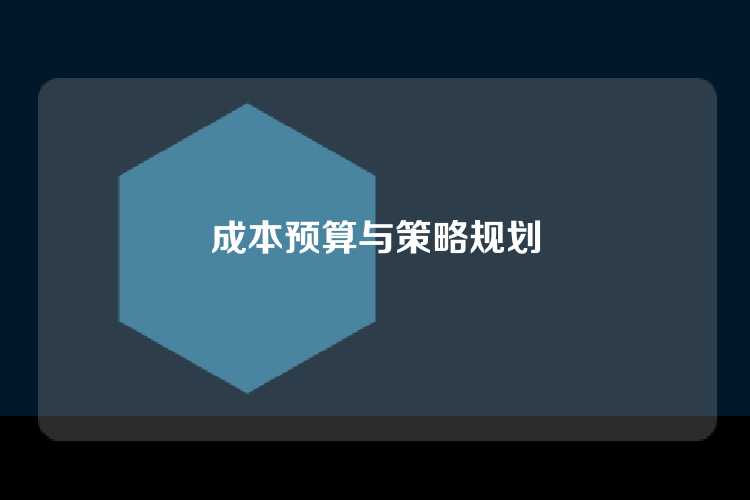 成本预算与策略规划