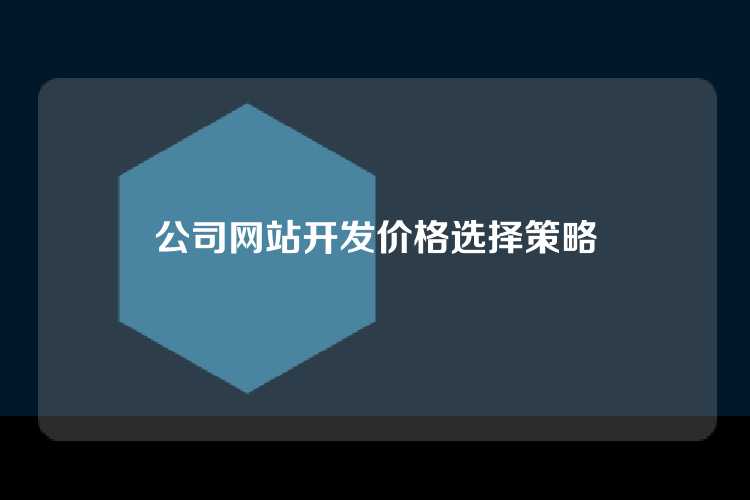 公司网站开发价格选择策略