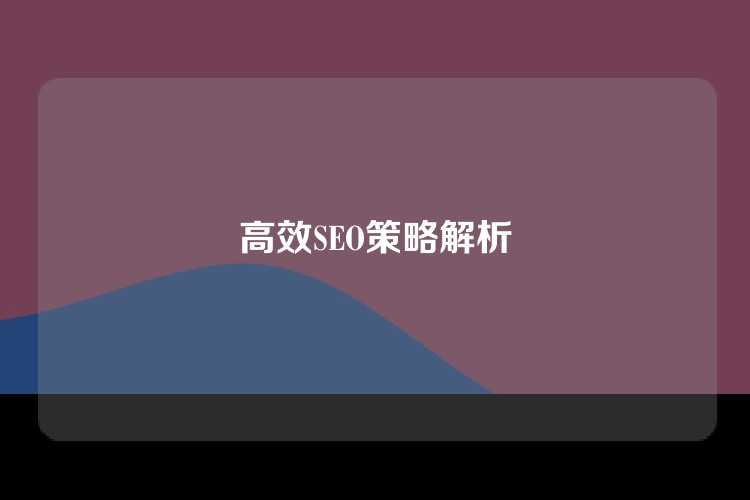 高效SEO策略解析