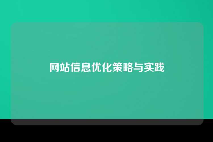 网站信息优化策略与实践