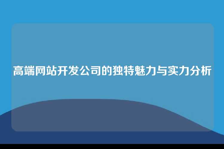 高端网站开发公司的独特魅力与实力分析