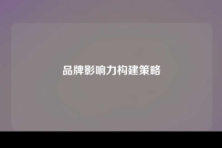 品牌影响力构建策略
