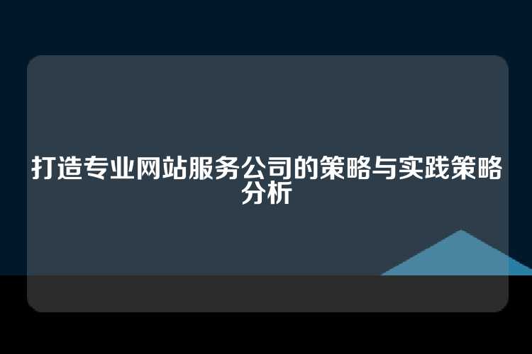 打造专业网站服务公司的策略与实践策略分析