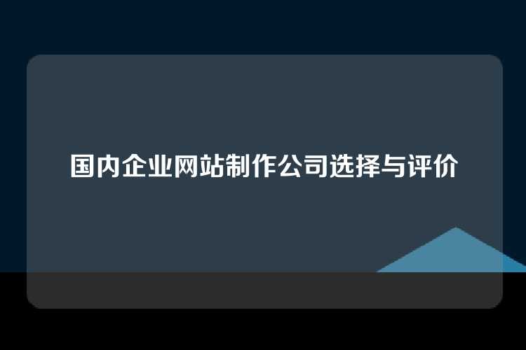 国内企业网站制作公司选择与评价