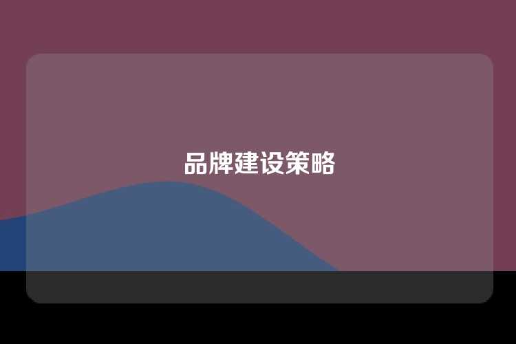 品牌建设策略