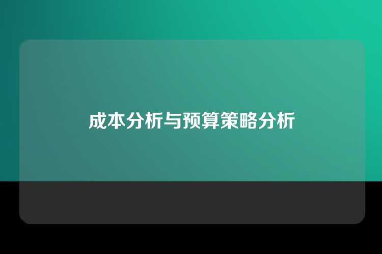 成本分析与预算策略分析