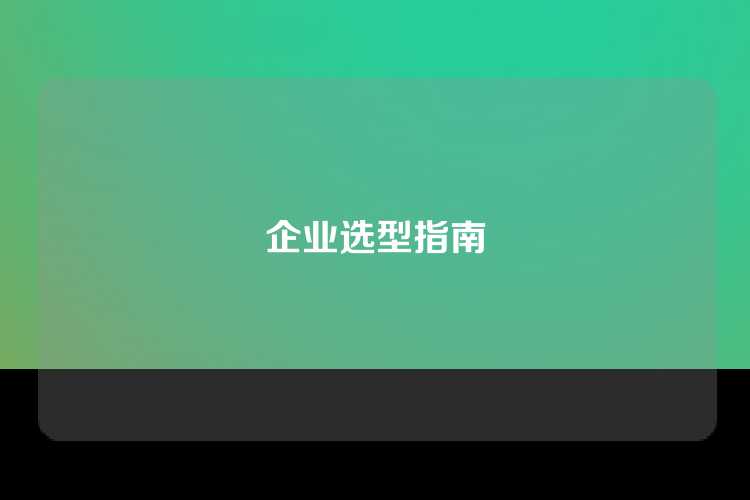 企业选型指南