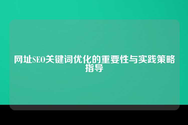 网址SEO关键词优化的重要性与实践策略指导