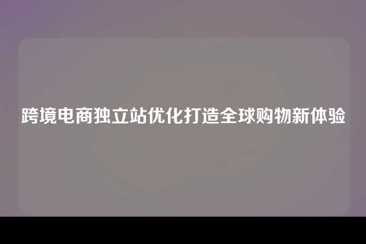 跨境电商独立站优化打造全球购物新体验