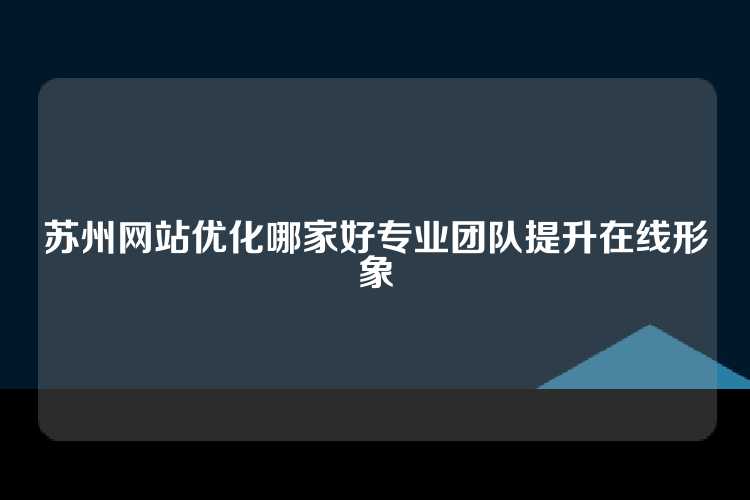 苏州网站优化哪家好专业团队提升在线形象