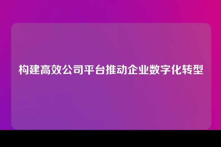 构建高效公司平台推动企业数字化转型