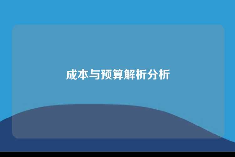 成本与预算解析分析