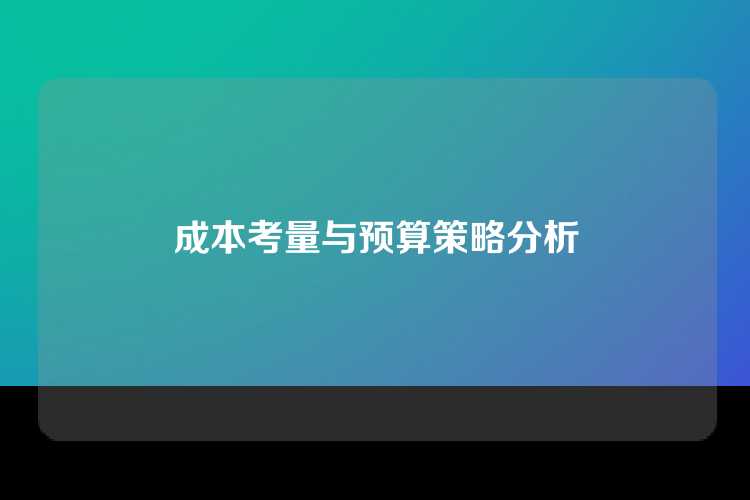 成本考量与预算策略分析