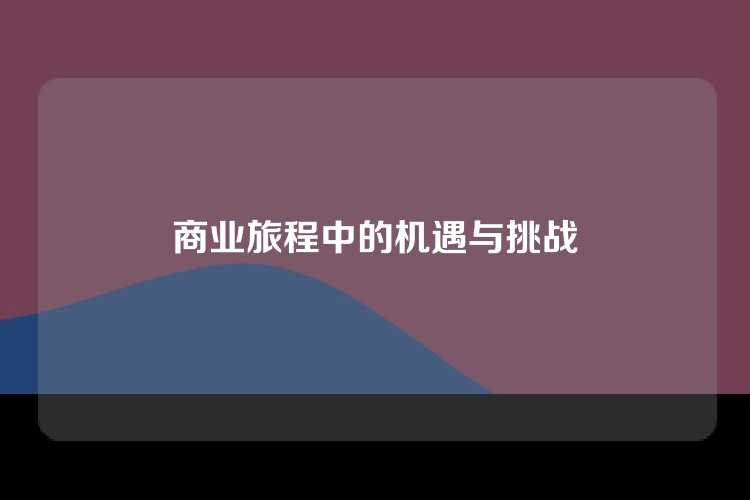 商业旅程中的机遇与挑战